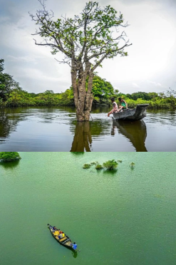 Ratargul Swamp Forest royalty tours travels