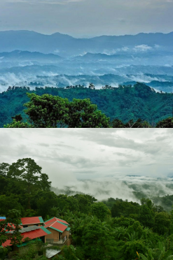 sajek valley royalty tours & travels