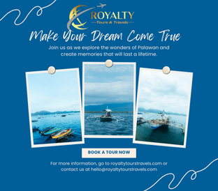 tour packages royalty tours & travels